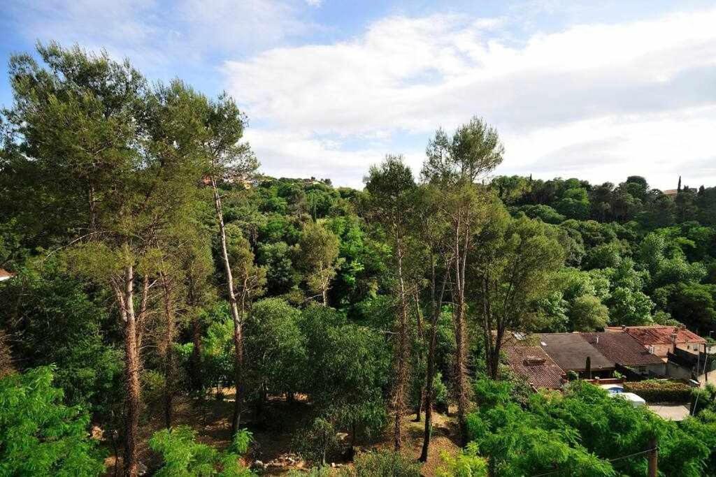 Apartamento Con Increibles Vistas Y Terraza ชีโรนา ภายนอก รูปภาพ